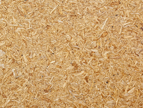 Background image of a Press Board. You can use it in vertical and horizontal orientation.