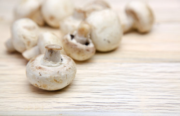 マッシュルーム