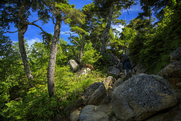 北アルプス 燕岳 大天井岳 槍ヶ岳 表銀座縦走 29