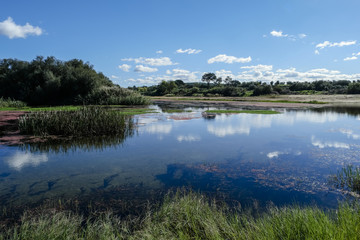 View across Sorraia river in Santa Justa, Coruche Santarem, Portugal. Taken on a hot sunny...