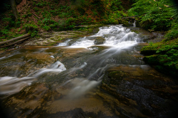 Mountain river - stream flowing through thick green forest, Bistriski Vintgar, Slovenia