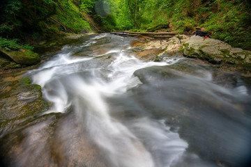 Mountain river - stream flowing through thick green forest, Bistriski Vintgar, Slovenia