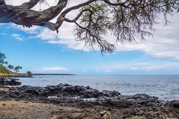 Hawaii beach scenery