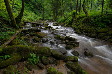 Naklejka na ściany i meble Mountain river - stream flowing through thick green forest, Bistriski Vintgar, Slovenia