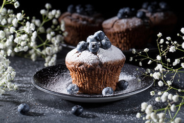 Muffin with powdered sugar and fresh blueberry