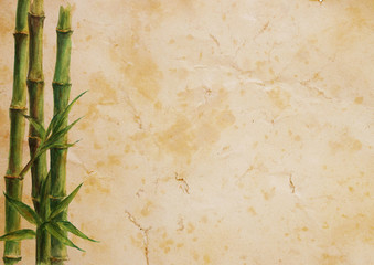 Green bamboo plants on old brown paper background