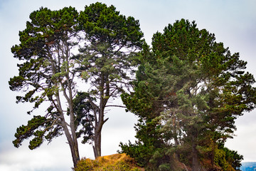 Fototapeta premium Paisaje natural