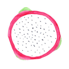 Watercolor illustration of Pitaya