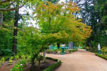 Obraz premium Parque natural