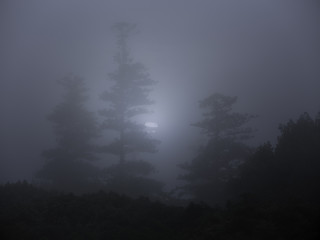 Fototapeta premium Foggy full moon night