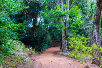 Vista de parque natural