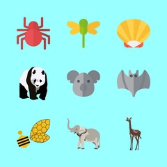 animal vector icons set. gazelle, panda, shell and elephant in this set