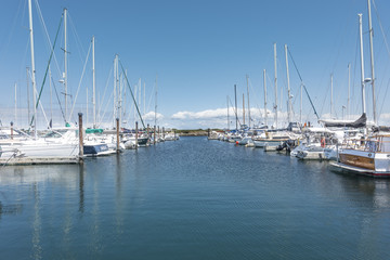 Fototapeta na wymiar Sailing boats on the water, blue skies beautiful summer day
