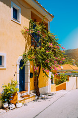 Assos village. Traditional yellow colored greek house with bright blue door and windows. Fucsia...
