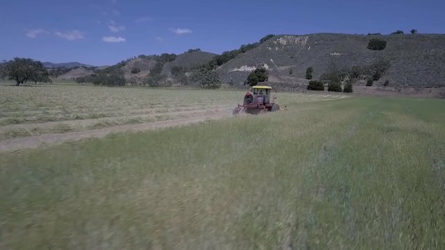 Swathing Hay Rows