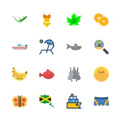 16 tropical icons set