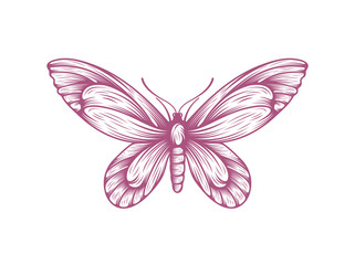 butterfly icon symbol vector illustration