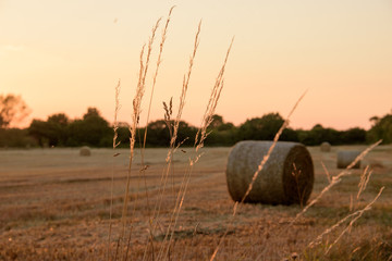 Straw Bales at sunset.