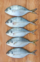 Yellow Tail Scad fish, Decapterus fish, on a wood plate