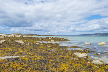 Panorama of an irish coast along the atlantic ocean in summer