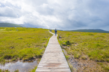 Fototapeta premium Panorama of mountains, marshy land and heathland of Connemara National Park in summer