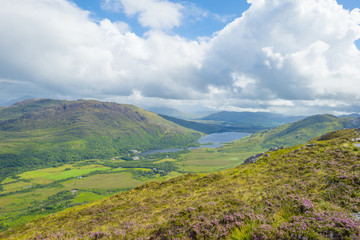 Fototapeta premium Panorama of mountains, marshy land and heathland of Connemara National Park in summer