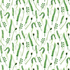 Botanical seamless pattern with green branches and leaves on white background. Hand drawn watercolor illustration with meadow herbs. Texture with grass for print, fabric, textile, wallpaper.