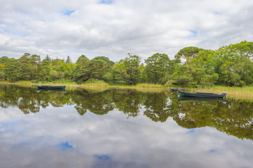 Panorama of edge and surroundings of a lake in a national park in summer