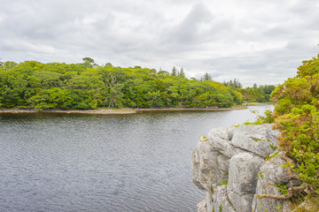 Panorama of edge and surroundings of a lake in a national park in summer
