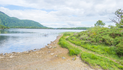 Fototapeta na wymiar Panorama of edge and surroundings of a lake in a national park in summer