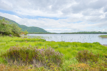 Panorama of edge and surroundings of a lake in a national park in summer