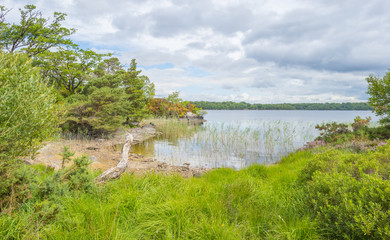 Panorama of edge and surroundings of a lake in a national park in summer