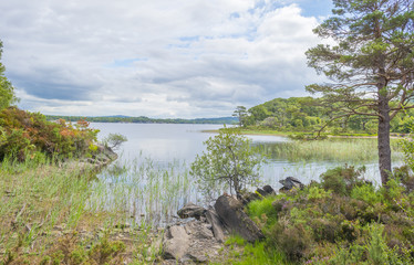 Fototapeta na wymiar Panorama of edge and surroundings of a lake in a national park in summer