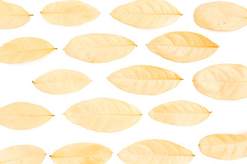 Naklejka premium Autumn composition made of yellow dried leaves on white background. Flat lay, top view. Close up view