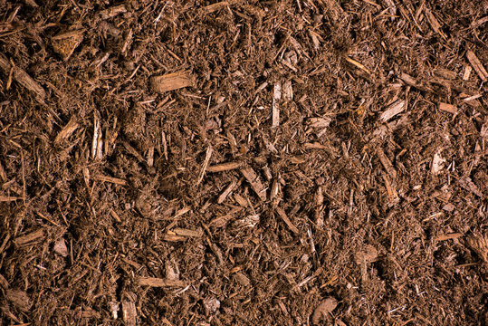 Brown Mulch