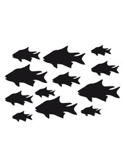 schwarm viele muster fisch angeln schwimmen meer köder fischen see tauchen aquarium silhouette umriss