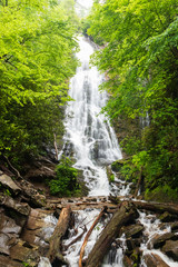 Fototapeta na wymiar Mingo Falls in Great Smoky Mountains National Park
