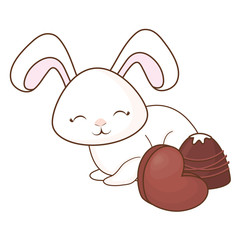 cute rabbits design