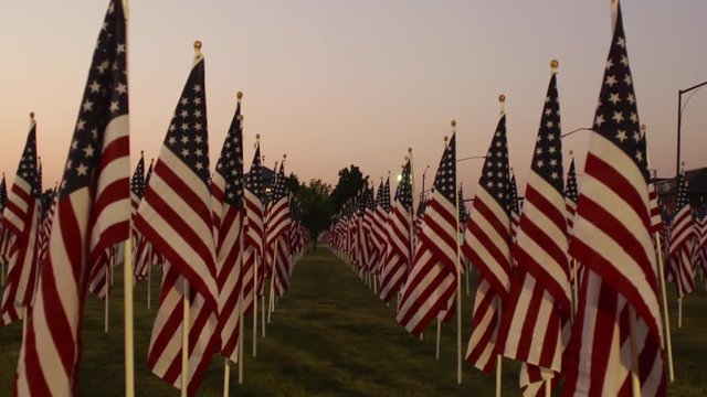 American flags in a field for Memorial Day