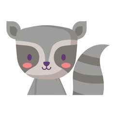 cute raccoon icon over white background, vector illustration