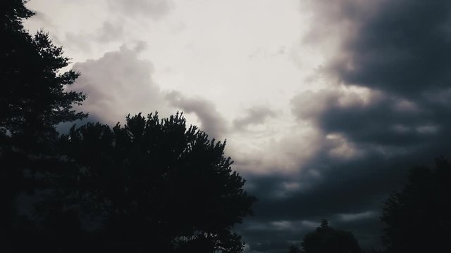 Slow rolling eerie storm clouds with a bit of color and sharp trees