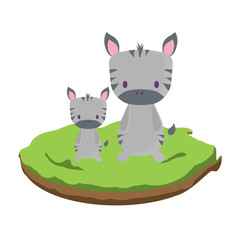 cute zebras on a grass over white background, vector illustration