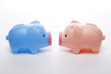 pig coin bank isolated white