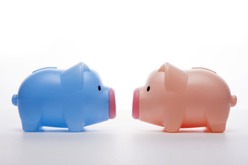pig coin bank isolated white