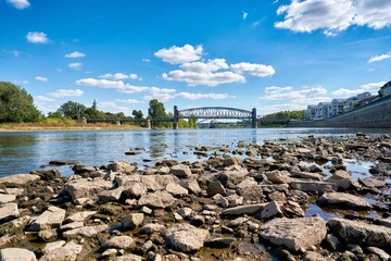 Fototapeta na wymiar Der Fluss Elbe bei Magdeburg bei Niedrigwasser durch einen heißen Sommer 