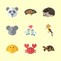 9 animal icons set