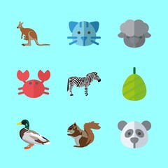animal vector icons set. cat, zebra, sheep and kangaroo in this set