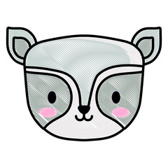 cute raccoon icon over white background, vector illustration