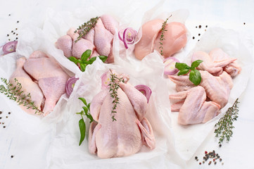 Raw chicken meat