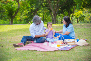 Asian Grandparents spend time in holiday with granddaughter by picnic at park.